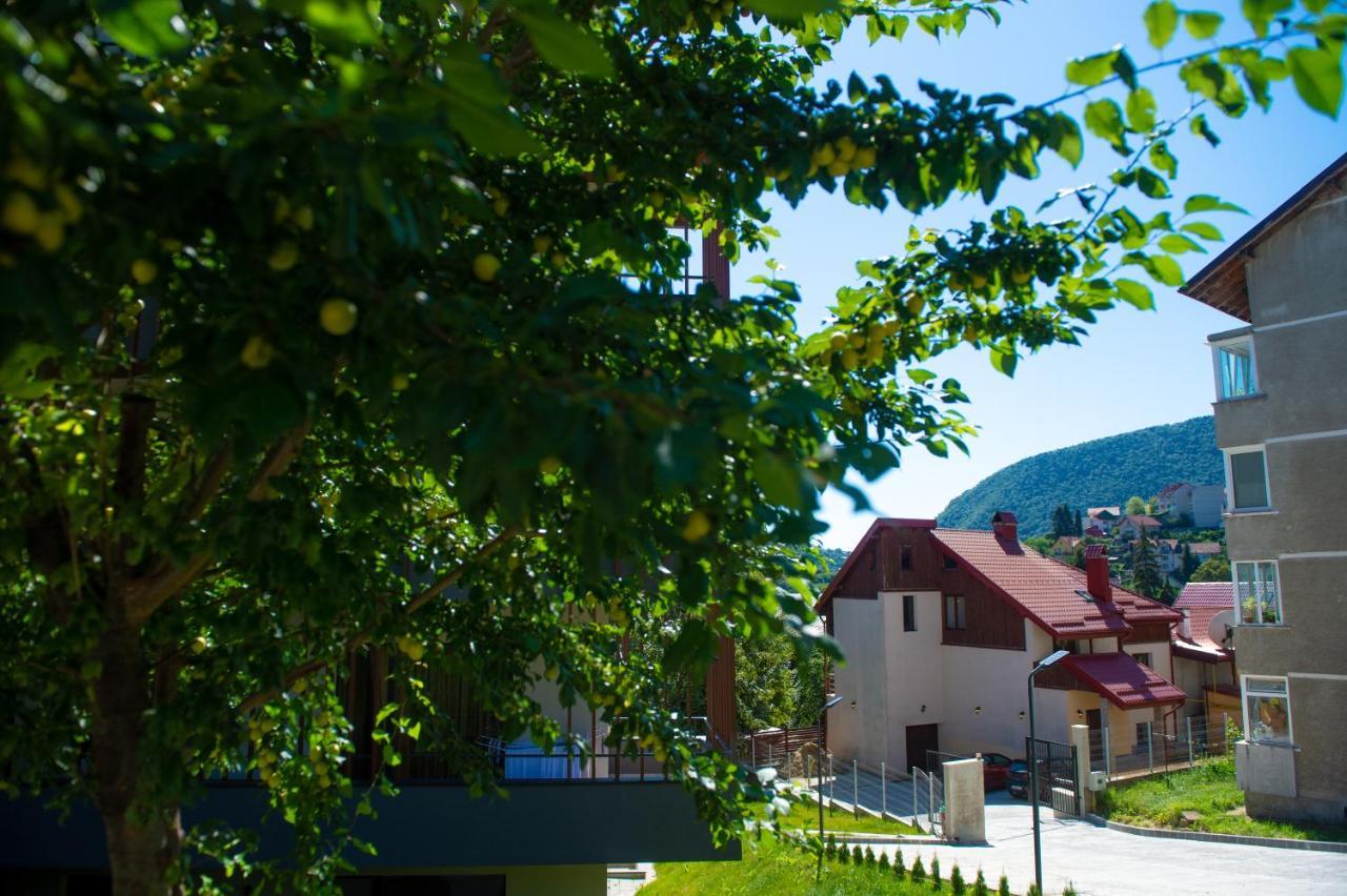 Snug Apartments - Private Parking Near Downtown Braszów Zewnętrze zdjęcie