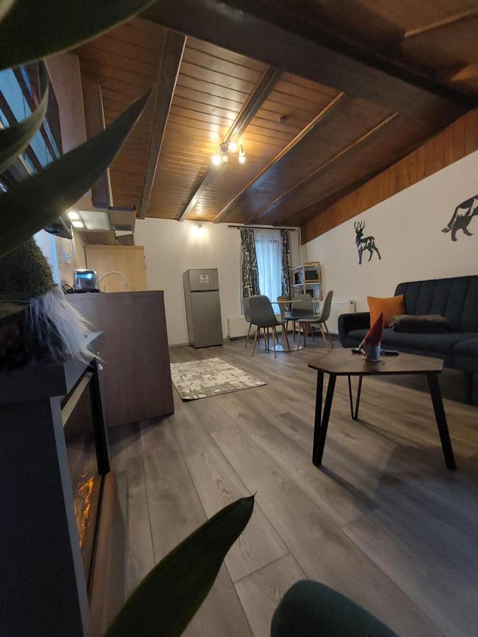 Snug Apartments - Private Parking Near Downtown Braszów Zewnętrze zdjęcie