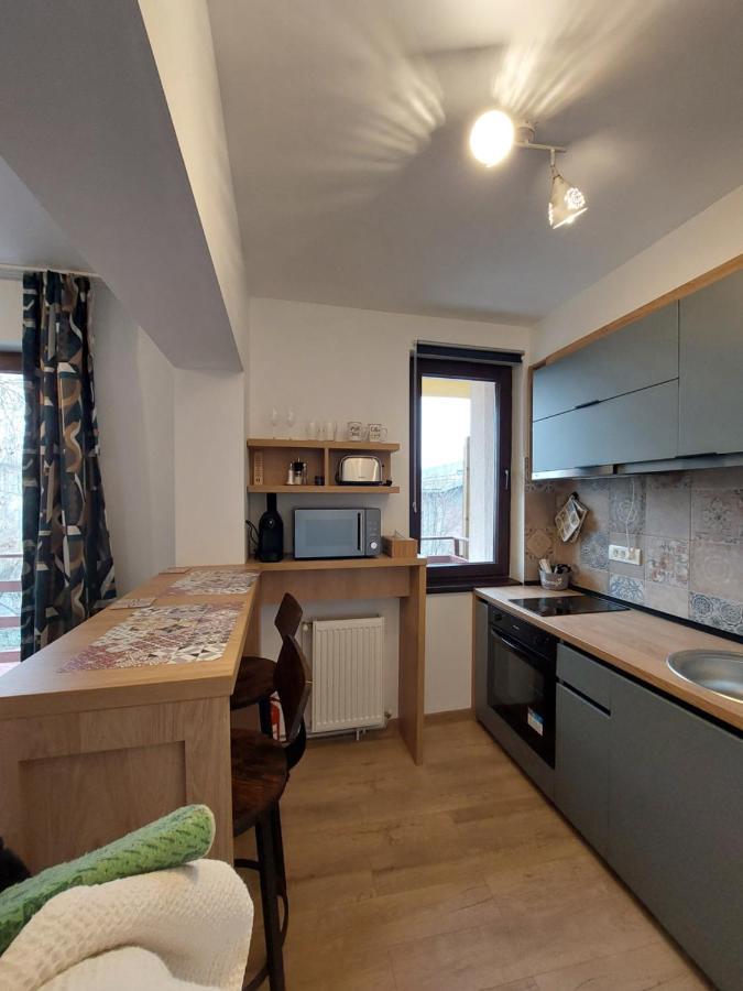 Snug Apartments - Private Parking Near Downtown Braszów Zewnętrze zdjęcie