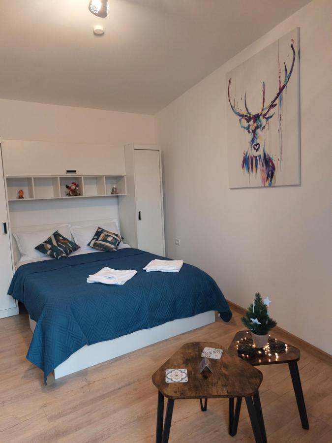 Snug Apartments - Private Parking Near Downtown Braszów Zewnętrze zdjęcie